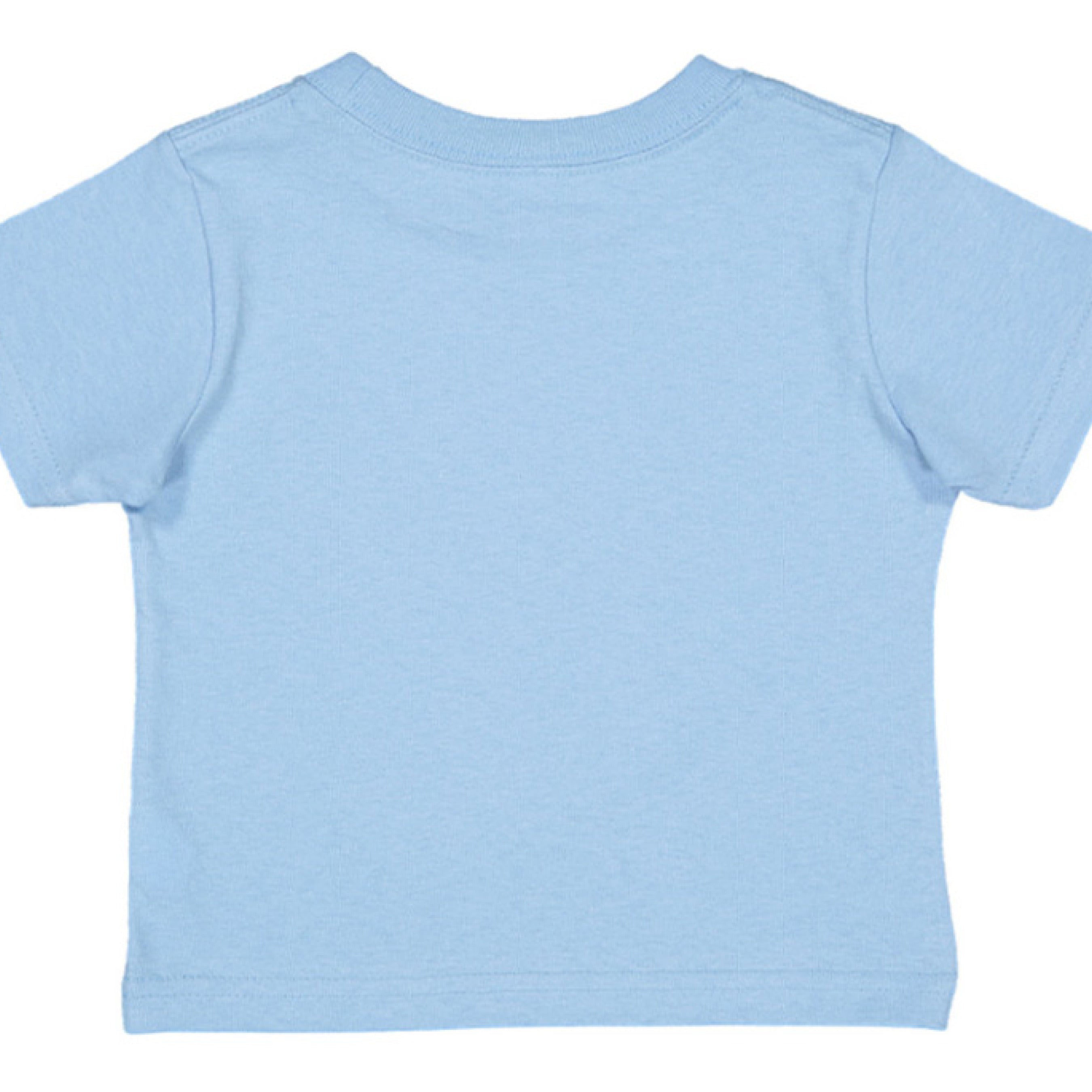 LIGHT BLUE - BACK